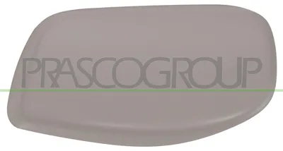 Immagine prodotto di PRASCO BM0467413 Copri specchietto esterno destro per BMW Serie 5 Berlina (E60)