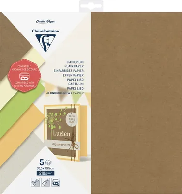 Produktbild von Clairefontaine 5x Papier blanko 5Bl 30,5x30,5 210g - 95739C