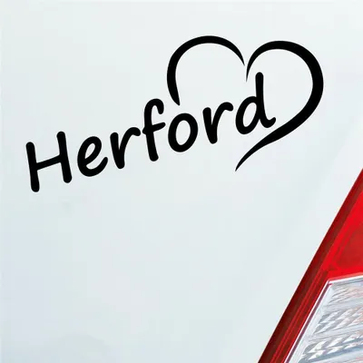 Produktbild von Auto Aufkleber Herford Herz Stadt City Liebe Love Heimat 18x8 cm Schwarz Glanz Sticker Heckscheibenaufkleber