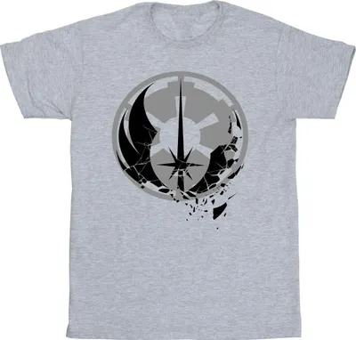 Produktbild von Star Wars - T-Shirt für Herren BI16810 (L) (Grau)