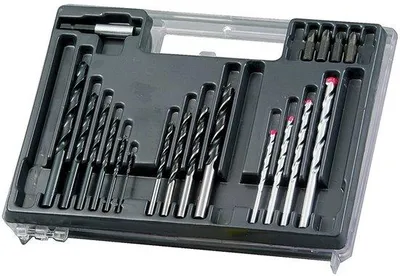 Productafbeelding van Assortiment in koffer met 300 stuks - HSS-bits, houten bits en pluggen