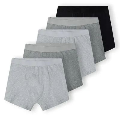 Produktbild von Minoti 5er-Pack Boxershorts Grau Gr. S für Herren