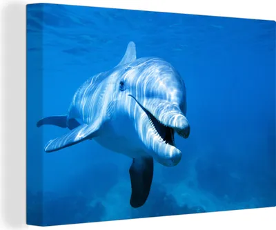 Produktbild von OneMillionCanvasses® - Leinwandbilder - 140x90 cm, Delfin - Wasser - Meer, Wandbilder Kunstdruck Wanddekoration