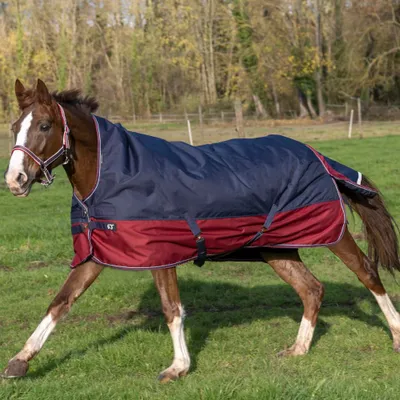 Image de Equithème Tyrex 1200D High Neck 150g - bleu marine/bordeaux, 165