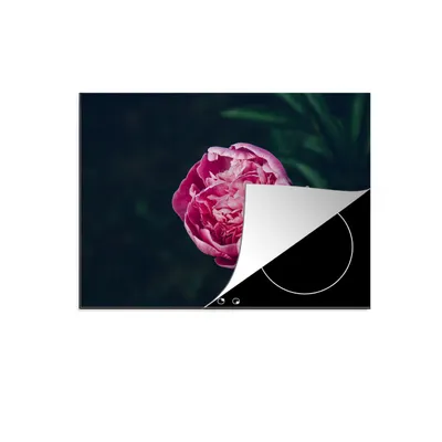 Produktbild von KitchenYeah© Herdabdeckplatte Blumen - Rosa - Rosen , 71x52cm, Küche Deko, Glaskeramikkochfeld Herdabdeckung, Abdeckplatte fùr Kochfeld