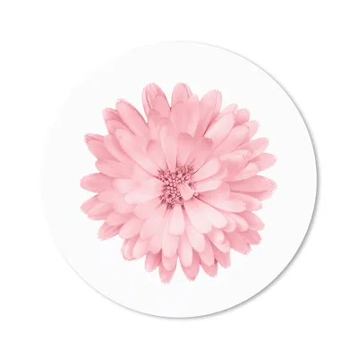 Produktbild von MuchoWow® Mauspad Mousepad Blumen - Rosa - Kamille 20x20 cm - Mousepads - Maus Mat - Pad - Mausunterlage - Schreibtischmatte