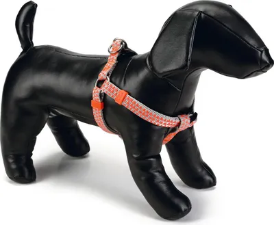 Produktbild von Beeztees Triangle - Hundegeschirr - hellgrau - 35-60 cm