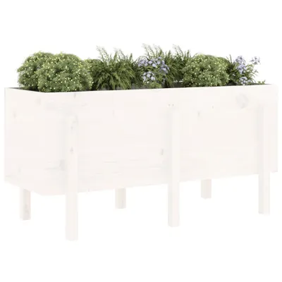 A white wooden planter box filled with various green plants and some small blue flowers, set against a white background.
