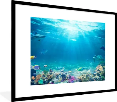 Produktbild von MuchoWow® Gerahmtes Poster Unterwasserwelt - Meerestiere - Wasser - Korallen - Blau 80x60 cm - Poster mit Schwarzem Bilderrahmen Wandposter Rahmen Foto Bilder - Schlafzimmer-Dekorationen - Fotoposter