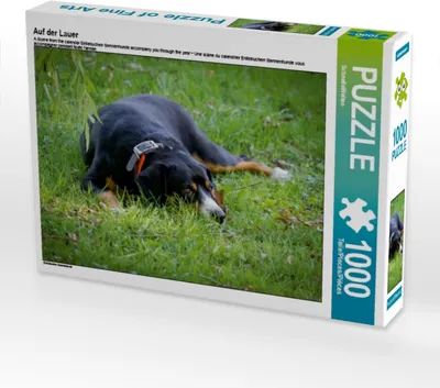 Produktbild von Calvendo Ein Motiv aus dem Kalender Entlebucherr Sennenhunde begleiten Sie durch das Jahr 1000 Teile Puzzle quer 640x480mm, CALVENDO; 7272180