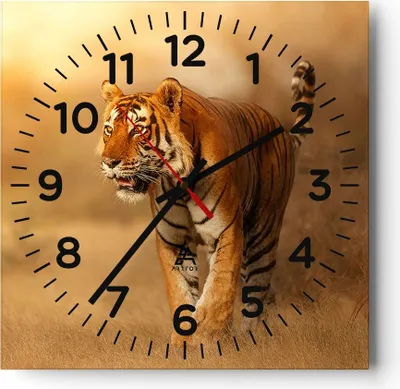 Produktbild von Wanduhr - Quadrat - Glasuhr - tiger tier - 30x30cm - Schleichendes Uhrwerk - Lautlos - zum Aufhängen bereit - Dekoration Modern - Wanddekoration aus Glas - C4AC30x30-3946