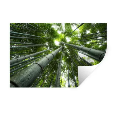 Produktbild von MuchoWow® Wandtattoo Wandsticker Wandaufkleber Wipfel des Waldes 120x80 cm Selbstklebend und Repositionierbar - Selbstklebend - Fototapeten