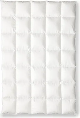 Produktbild von OBB Black Forest Winterdecke Birta 200x200 cm, Gänsedaunen-Kassettendecke