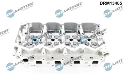 Zdjęcie produktu dla Głowica Silnika Nissan X-Trail 2.2Dci 01-
