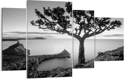 Produktbild von Bild auf Leinwand - Leinwandbild - 4 Teile - Baum Schwarzweiß Ansicht - 120x70cm - Wand Bild - Wanddeko - Wandbilder - Leinwanddruck - Bilder - Wanddekoration - Leinwand bilder - DL120x70-4297