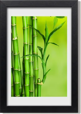 Produktbild von Bild 20x30 MDF-Rahmen, Wandkunst Bambus