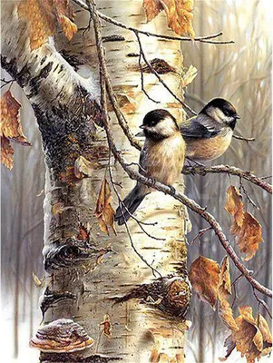 Produktbild von Diamond Painting, Zwei Vogel Frucht Blume 5D DIY Diamant Malerei Stickerei Full Drill Crystal Strass Bilder Kreuzstich Handwerk für Home Wall Decor Kreuzstich Kit (Herbst Vogel, 30 * 40cm)