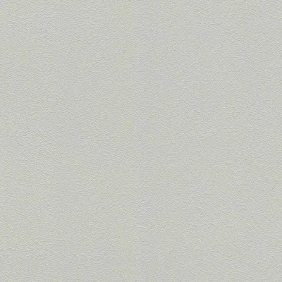 Produktbild von Vliestapete 474930 Tapete Uni Einfarbig 53 x 1005 cm Rasch Das Beste (2025) Grau