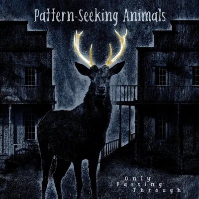 Produktbild von Pattern-Seeking Animals - Only Passing Through (2 LP + CD)
