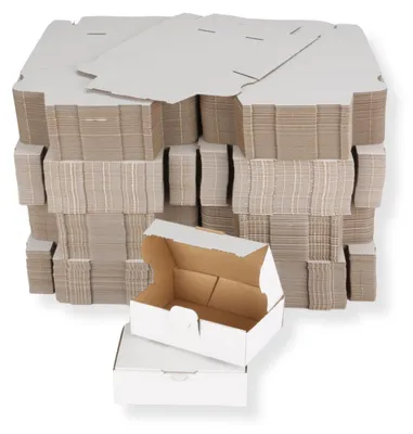 Produktbild von Maxibriefkarton DIN A6 - 160 x 110 x 50 mm / DHL Kleinpaket, weiß 400 Stück