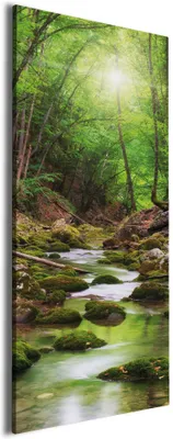 Produktbild von Wallario Premium Leinwandbild Fluss im Wald in Größe 60 x 150 cm