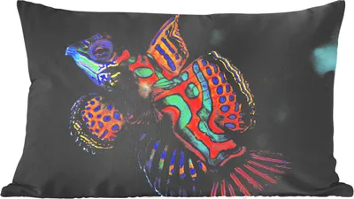 Produktbild von MuchoWow® Zierkissen Sofakissen Wohnzimmer Dekokissen 50x30 cm Fisch - Farbe - Makro - Wohnzimmerdekoration - Polster mit Photo