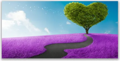 Produktbild von Tulup Leinwand-Bilder 120x60 Wandbild Canvas Kunstdruck Wiese Fußpfad Baum Natur