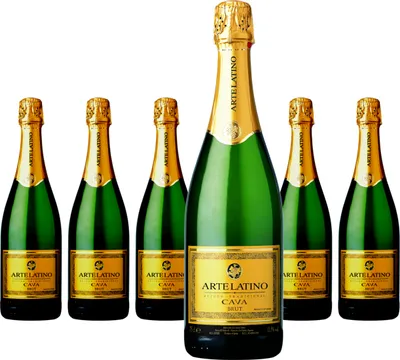 Produktbild von 6 x Jaume Serra Arte Latino Cava Brut