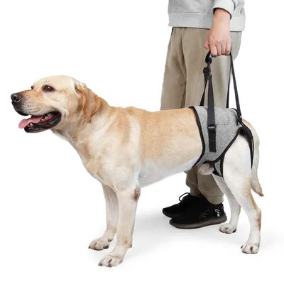 Immagine prodotto di Omgoods - Imbracatura regolabile per cani, da indossare sulle zampe posteriori, con maniglia per il trasporto