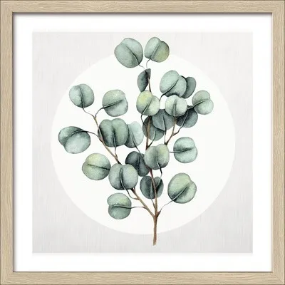 Produktbild von Gerahmtes Bild Eucalyptus lll 33x33 cm
