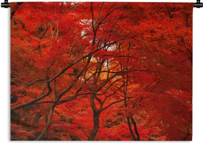 Produktbild von MuchoWow® Wandteppich Wandbehang Herbst - Wald - Rot 60x45 cm Tapisserie Dekoration Wandtuch - Das Schlafzimmer