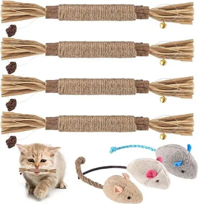 Produktbild von Indoor-Katenspielzeug mit Silberfarn-Sticks für Katzen, Matatabi-Katzenkräuter, Katzenzahnpflege.