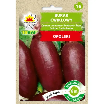 Obrázek produktu pro Řepa podélná OPOLSKI (páska 6m) Toraf