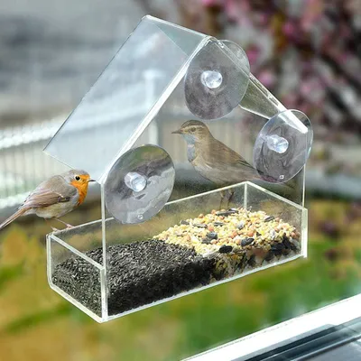 Produktbild von Futterhaus Fenster Vogelhaus transparent - mit Saugnäpfen und Dach aus Acrylglas - Futterstation für Wildvögel und Papageien.