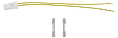 Produktbild von Reparatur Stecker Kennzeichenleuchte 3. Bremsleuchte 2-Polig für Fiat Ducato 250