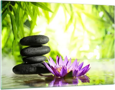 Produktbild von Bilder auf glas - Spa bambus blume wasser - 120x80cm - Glasbilder - Wandbilder - Kunstdruck - zum Aufhängen bereit - Wanddekoration aus Glas - Glas Bilder - Wandbild auf Glas - GAA120x80-2477