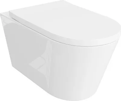 A white toilet bowl is shown from a diagonal angle against a white background.
