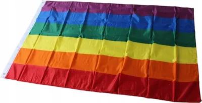 Produktbild von LGBT Regenbogenflagge groß 90 x 150 cm Pansexualität F2