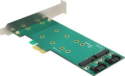 Produktbild von Delock PCI Express Card > 2 x internal M.2 - Speicher-Controller - M.2 Card / SATA 6Gb/s - Low-Profile - PCIe x1
