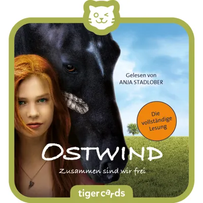 Produktbild von tigermedia tigercard Ostwind 1