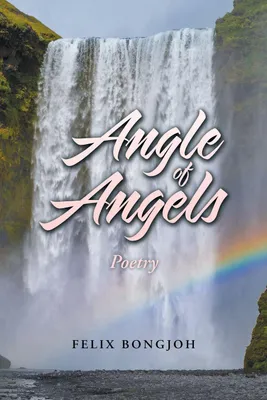 Produktbild von Angle of Angels