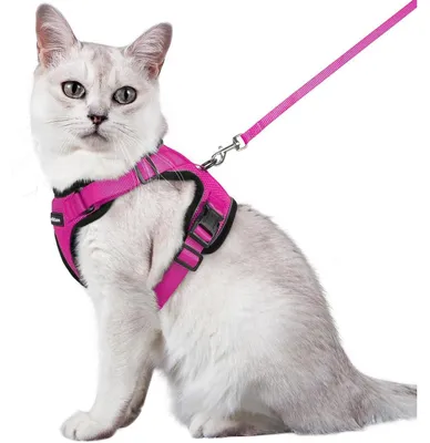 Produktbild von Katzengeschirr mit Leine, ausbruchsicher, verstellbar, Rosenrot, Größe M