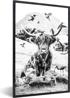 Produktbild von MuchoWow® Gerahmtes Poster Schottischer Highlander - Tiere - Berg 20x30 cm - Poster mit Schwarzem Bilderrahmen Wandposter Rahmen Foto Bilder - Drucken - Bilder Poster im Rahmen