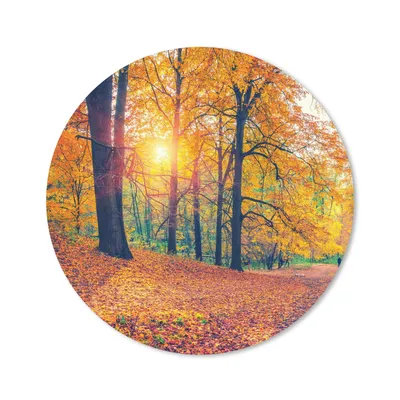 Produktbild von MuchoWow® Mauspad Mousepad Bäume - Herbst - Wald - Herbstliche Blätter 30x30 cm - Mousepads - Maus Mat - Pad - Mausunterlage - Tischunterlage - Schreibtischmatten