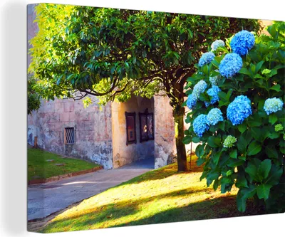 Produktbild von OneMillionCanvasses® - Leinwandbilder - 140x90 cm, Blaue Hortensien, Wandbilder Kunstdruck Wanddekoration