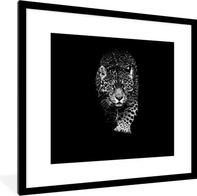Produktbild von MuchoWow® Gerahmtes Poster Tiere - Schwarz - Leopard - Weiß - Wild 40x40 cm - Poster mit Schwarzem Bilderrahmen Wandposter Rahmen Foto Bilder - Poster - Plakat im Rahmen