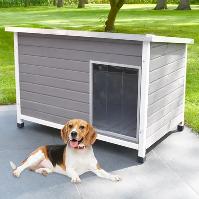 Produktbild von zooprinz Hundehütte Jacky L Wetterfest Massivholz Klappdach Höhenverstellbar 105x68x67cm (BxHxT)