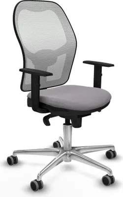Image de Bürostuhl Piqueras y Crespo 1D086G0 Grau
