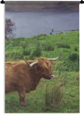 Produktbild von MuchoWow® Wandteppich Wandbehang Schottische Highlander - Gras - Wasser - Tiere 60x90 cm Tapisserie Dekoration Wandtuch - Foto-Teppich - Abwaschbar