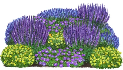 Produktbild von Dehner Bio Stauden-Set Rosenbegleiter, 12 Pflanzen für sonnige Standorte, je 5-20 cm exkl. Pflanztopf, Ø Topf je 9 cm, lila / blau / gelb